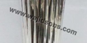 Ornamental Plant Pot Flower Vase