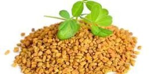 Fenugreek Seeds