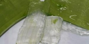 Aloe Vera Pulp