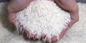 Raw Rice