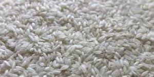 Swarna Rice