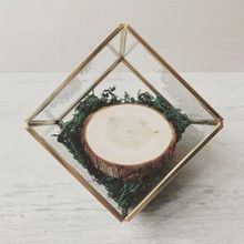 Geometric Terrarium