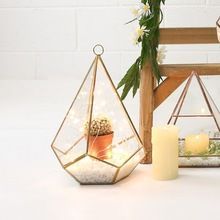 Metal Stent Geometric Glass Terrarium