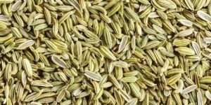Green Fennel Seeds