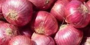 Red Onion