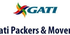 Express Packer Movers Services