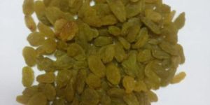 Kashmiri Raisins