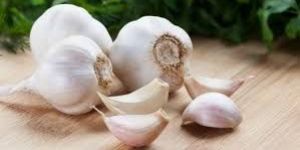 Fresh Garlic
