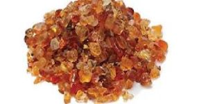 Babool Gum
