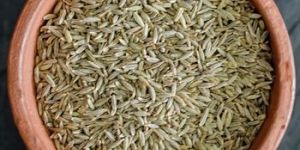 Cumin
