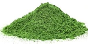 Moringa Oleifera Leaves Powder