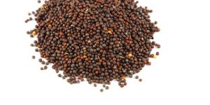 Mustard Seed