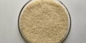 PLANTAGO OVATA HUSK POWDER