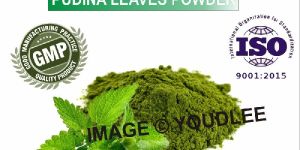 Pudina Leaves Powder