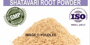 Shatavari Powder