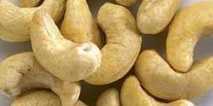 Cashew Nuts