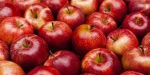 Fresh Apple