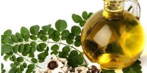 Moringa Oil