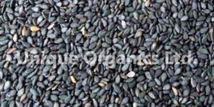 Black Sesame Seeds