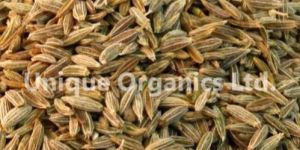 Cumin Seeds