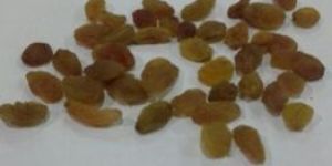 Golden Raisins