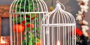White Bird Cage