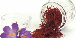 Kashmiri Saffron (Kesar)