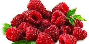 Red Raspberry Seed Oil