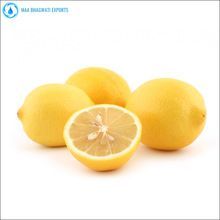 Organic Lemon Essential Oil