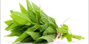 Pure Spearmint Essential Oil