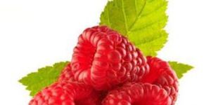 Red Raspberry Seed Oil