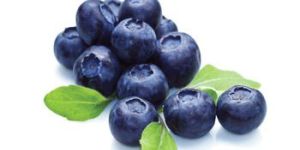 Skin Care Organic Blueberry Seed Oil