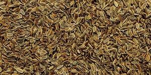 Dill Seeds