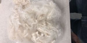 Polyester Staple Fibre