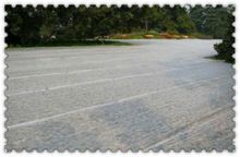 Needle Punched Nonwoven Geotextile