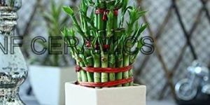 Corporate Gift Ceramic Pot