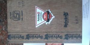 Sylvan Commercial Plywood