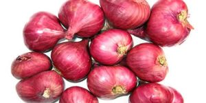 Small Red Onion