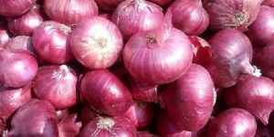 Red Onions