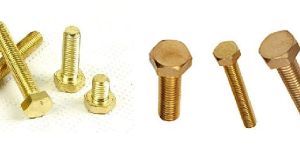 Brass Bolts