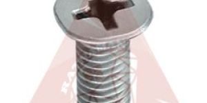 CSK Phillips Screws
