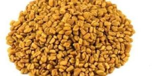 Fenugreek Seeds
