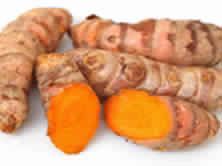 Curcuma Amada Rhizome