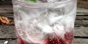 Raspberry Soft Drink Concentrates