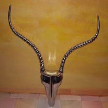 Animal Head Model Deer