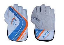 Cricket Wicket Keeping Gloves