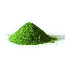 Moringa Powder