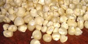 WHITE MAIZE NON GMO