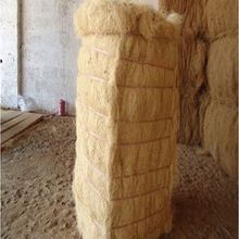 Highly Demanded Coir Fibre