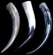 Dinking Horn